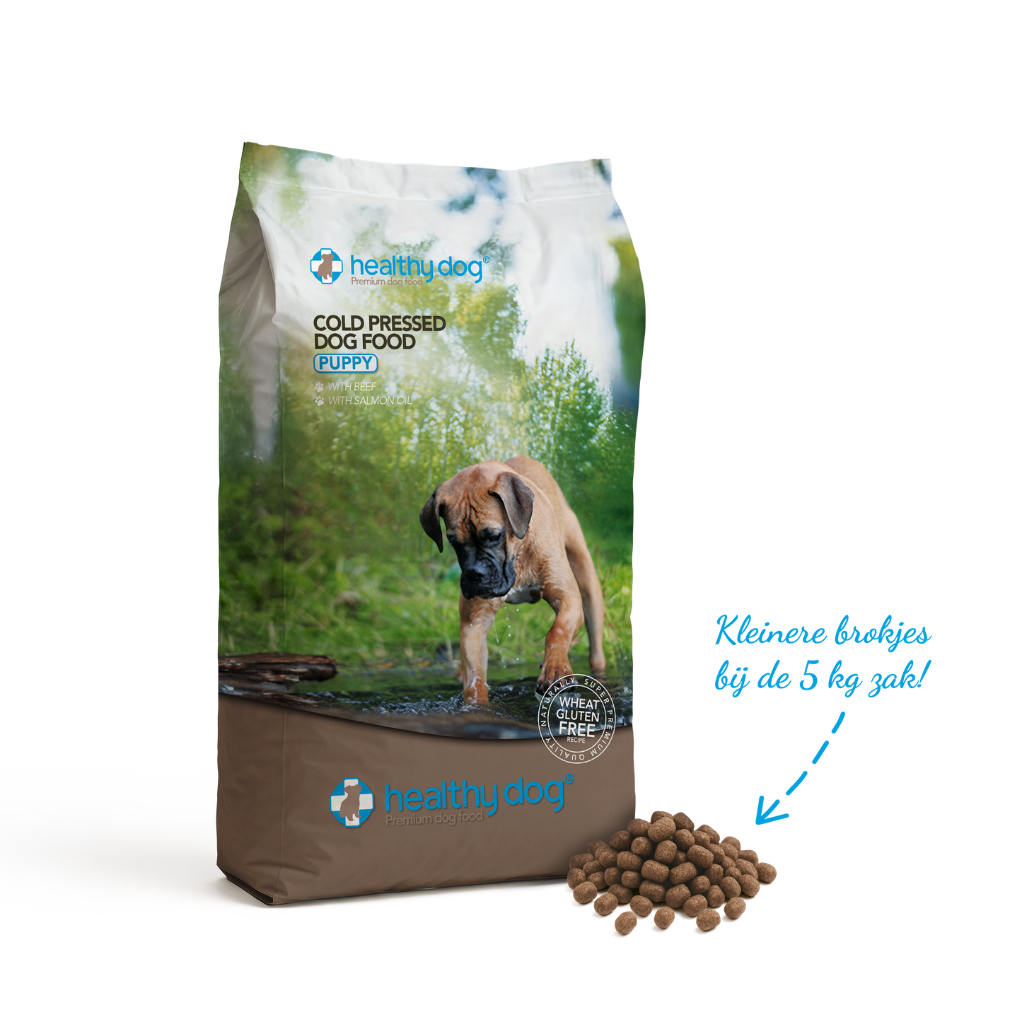 Healthy Dog Puppy