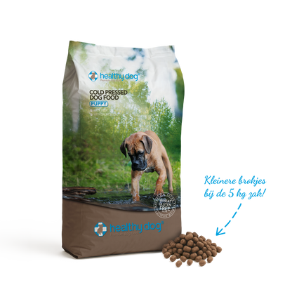 Healthy Dog Puppy