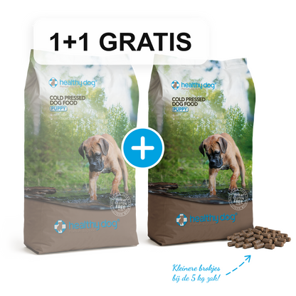 Healthy Dog Puppy