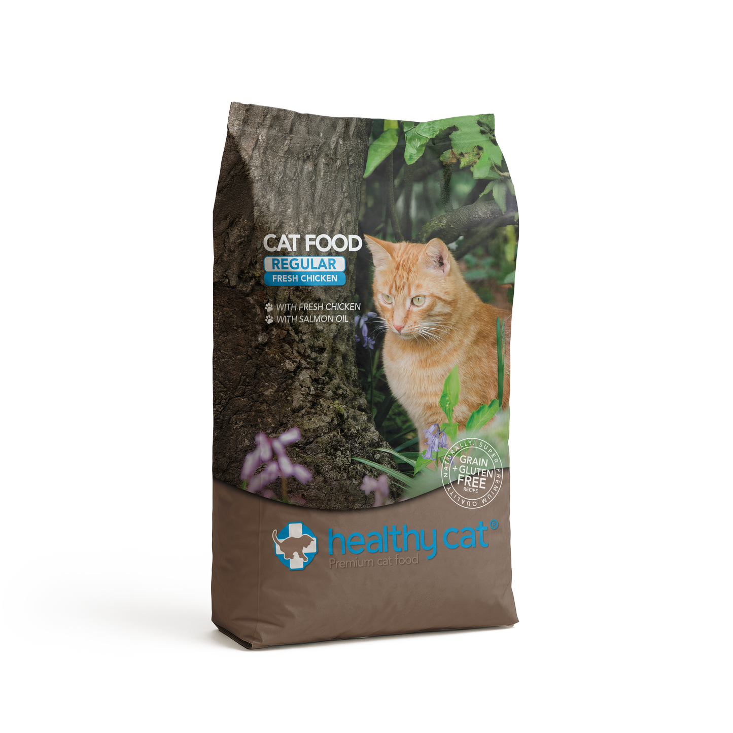 Healthy Cat Regular