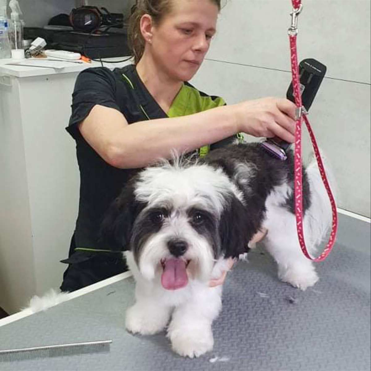 Voor trimsalons